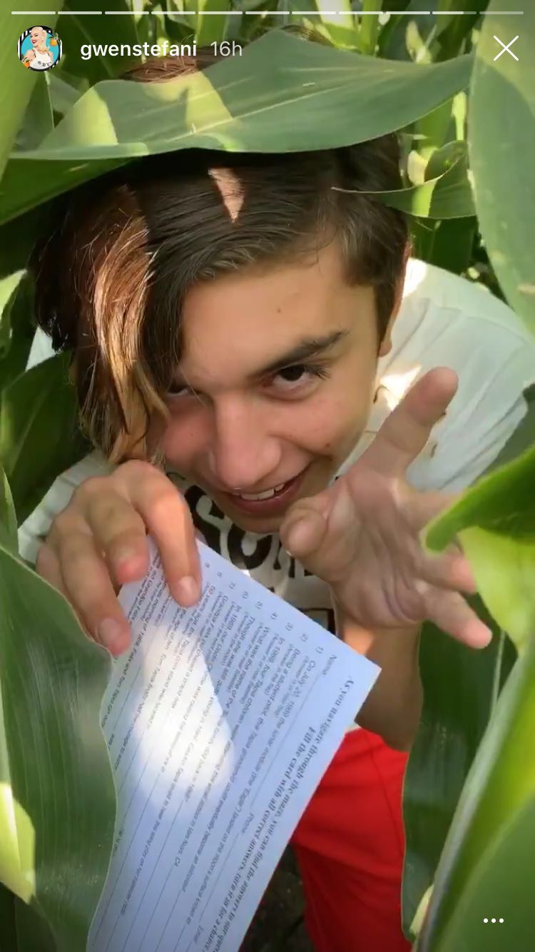 Gwen Stefani's Son in a Corn Maze