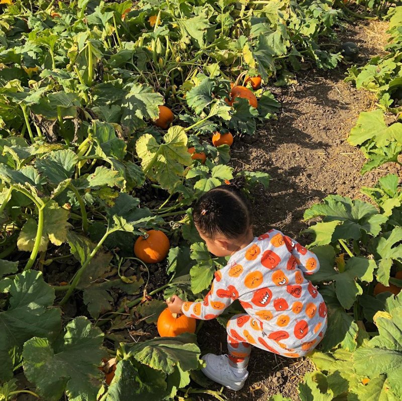 Dream Kardashian, Stormi Webster and True Thompson at a Pumpkin Patch With Kylie Jenner