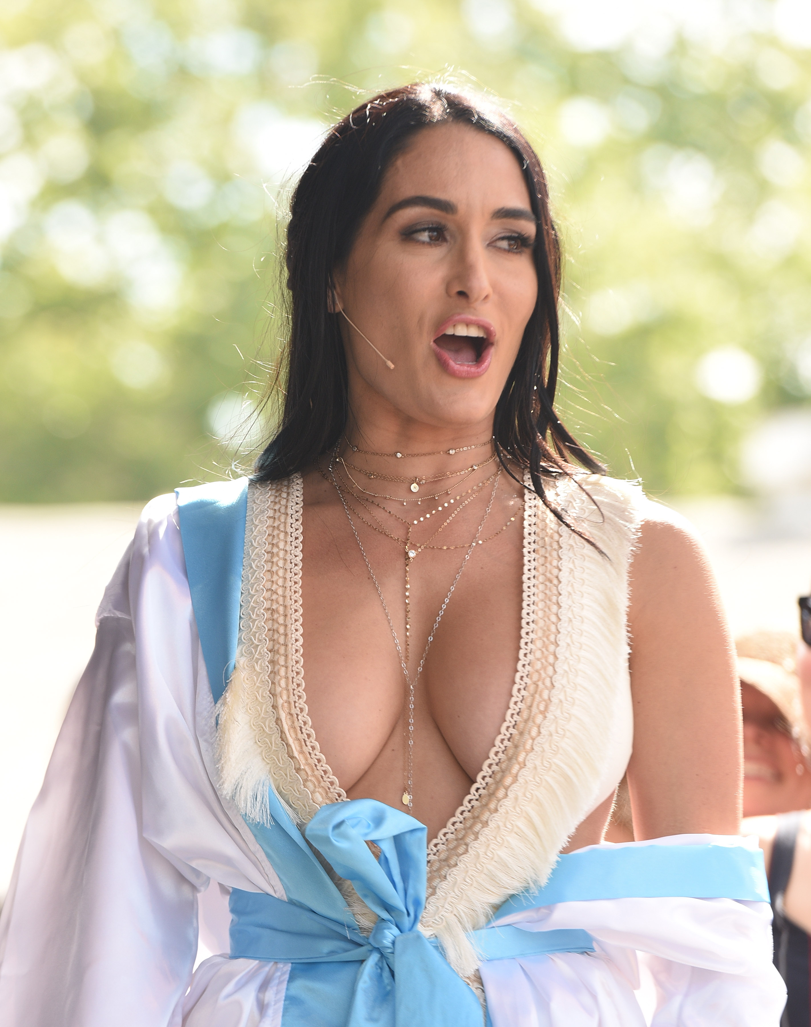 2842px x 3600px - Nikki Bella's Brother Accidentally Discovered Her Sex Toy Collection