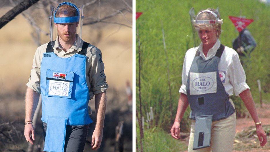 Prince Harry and Princess Diana Side by Side Photo Doing Charity Work