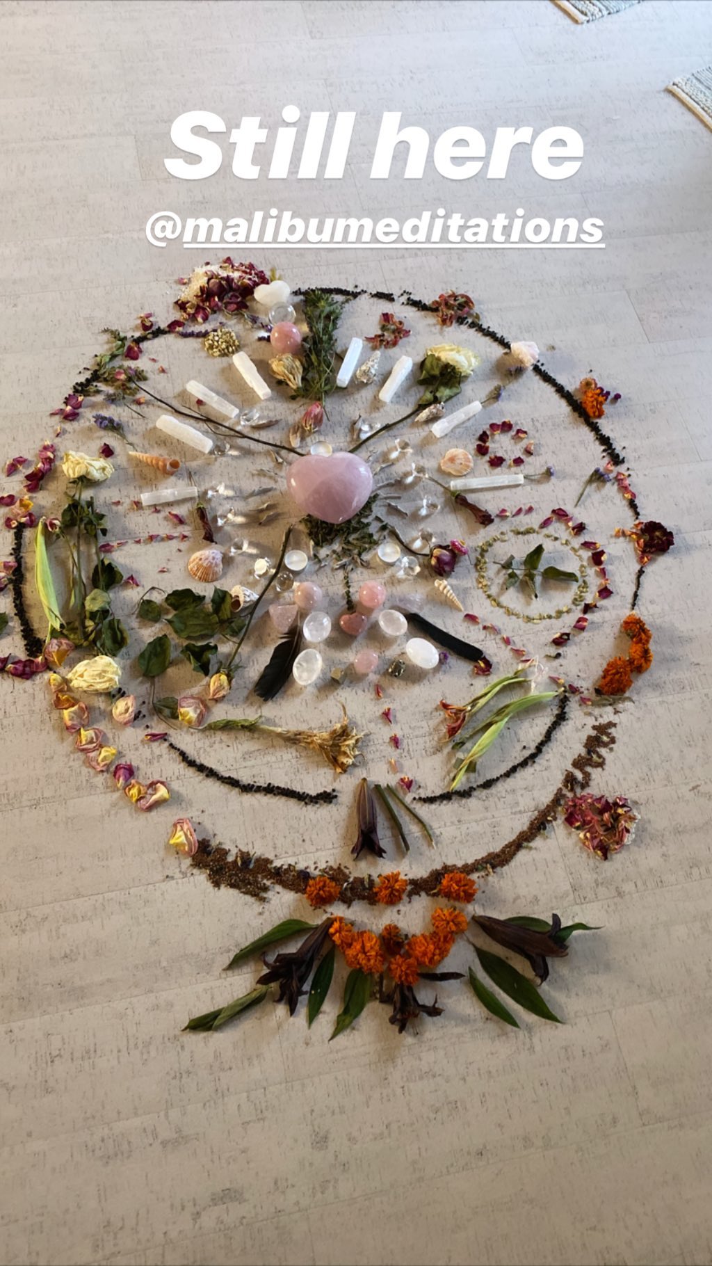 Sofia Richie Instagram Story, Malibu Meditations Journey