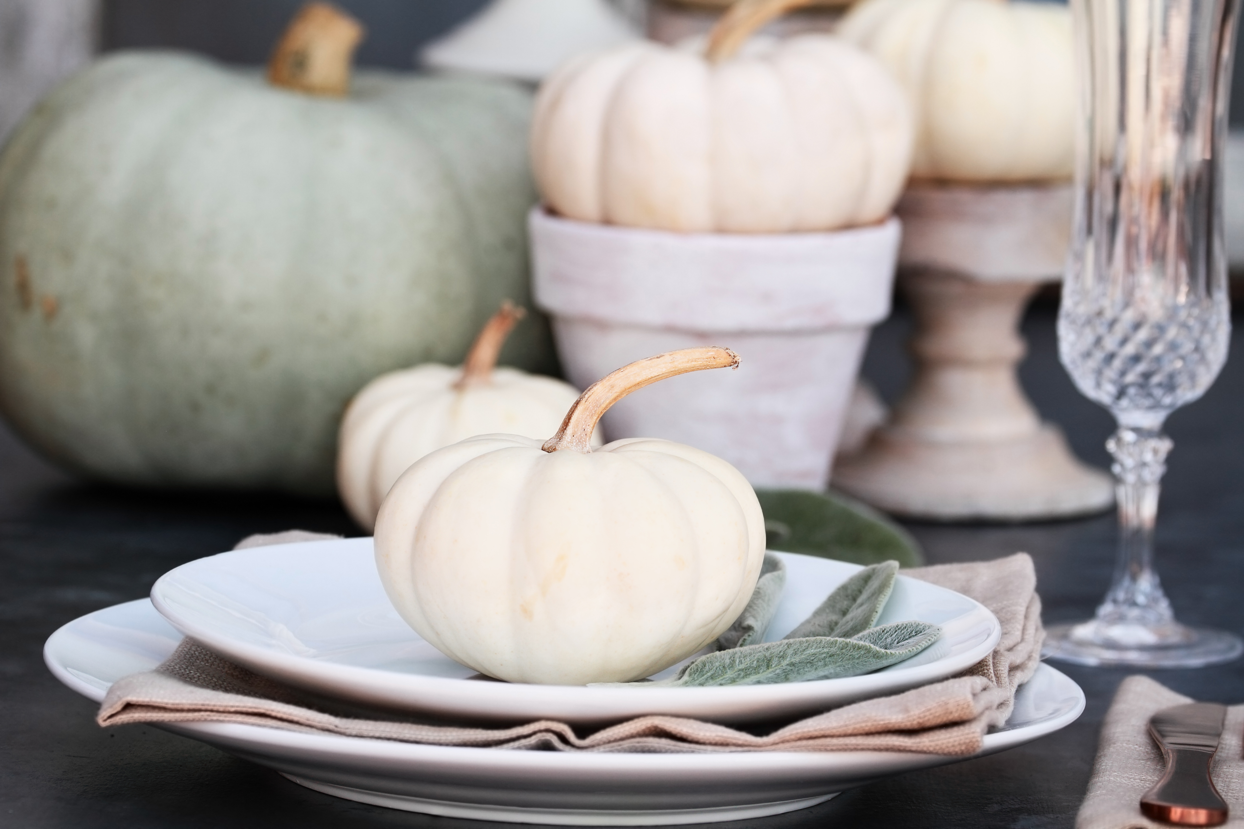 White Pumpkin Decorations for Fall