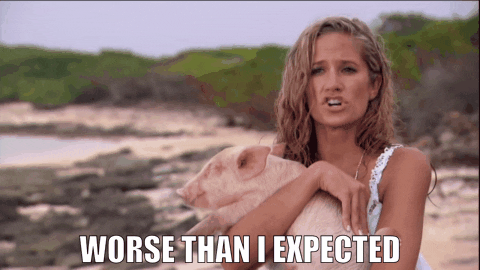 bachelor pigs date injuries