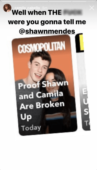 Camila Cabello Trolls Shawn Mendes Breakup Rumors