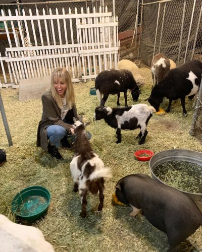 Miley Cyrus Petting Zoo