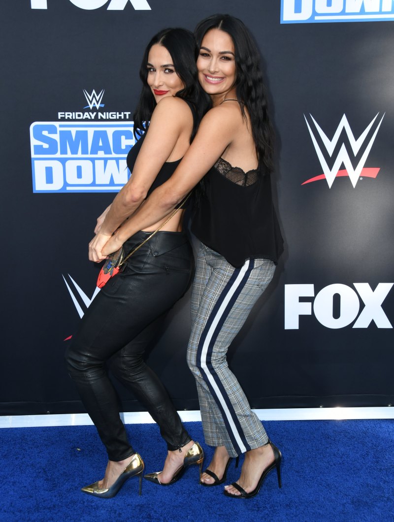 Nikki Bella and Brie Bella Scorpio Celebs