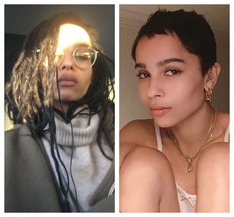 Celebrity Hair Transformations 2019, Zoë Kravitz