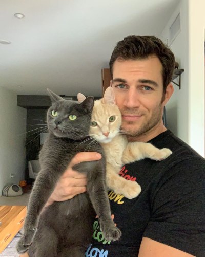 Dr. Evan Antin Posing With Some Cats