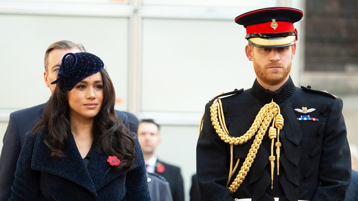 Prince Harry Meghan Surprise Military Fans Update Archie