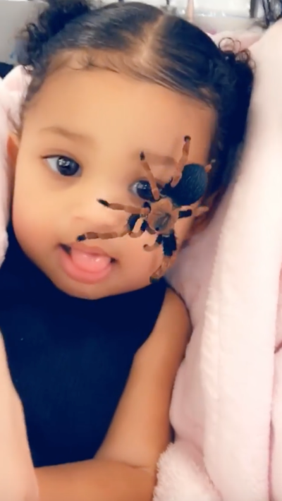 Spider Filter on Kylie Jenner's Daughter Stormi