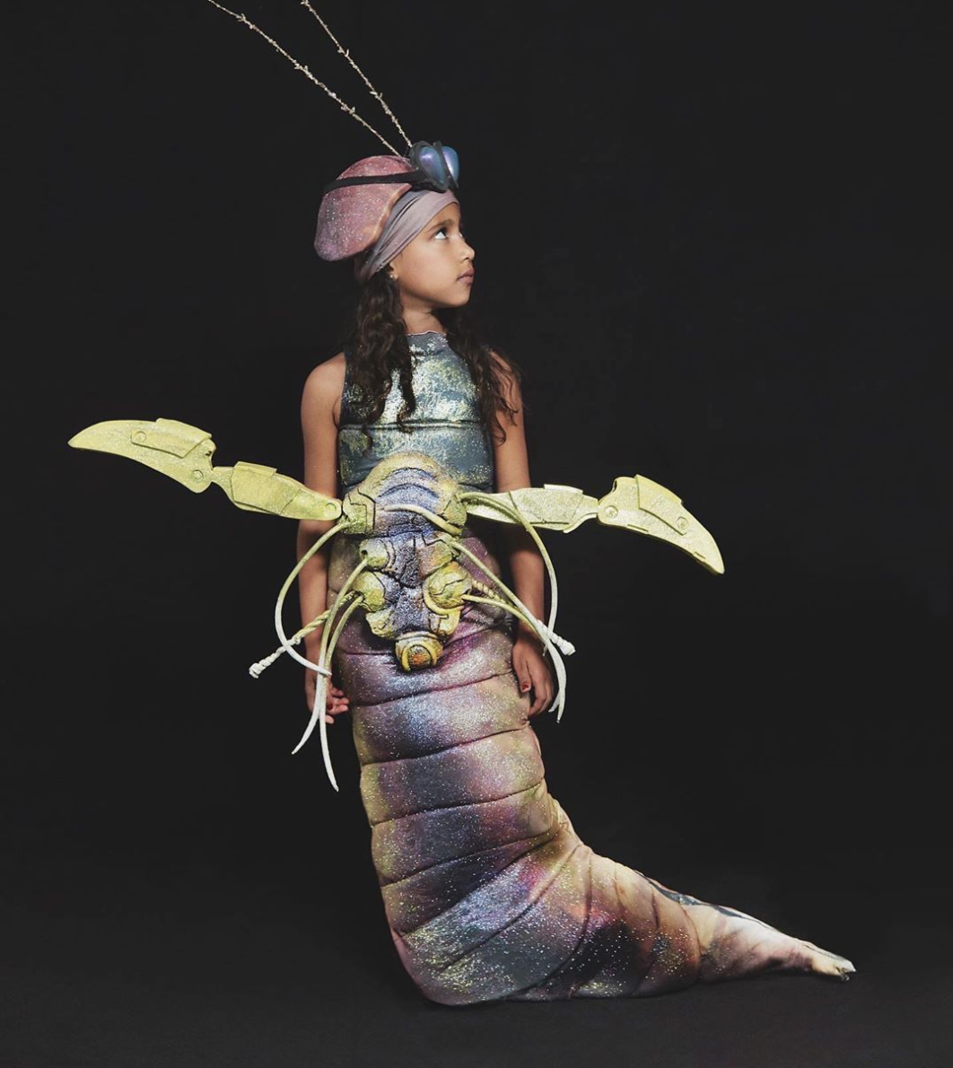 kardashian-west-family-halloween-costumes-bugs-life