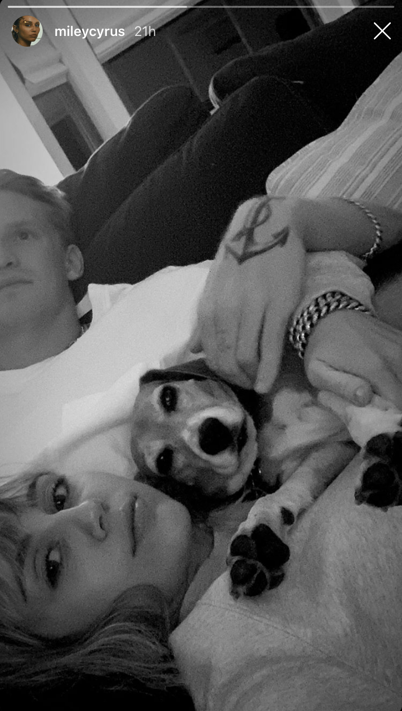 Miley Cyrus and Cody Simpson Snuggling With a Dog