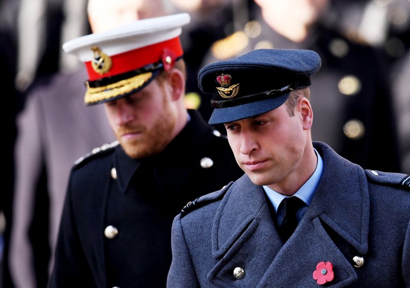 Prince William Prince Harry Remembrance Sunday Service