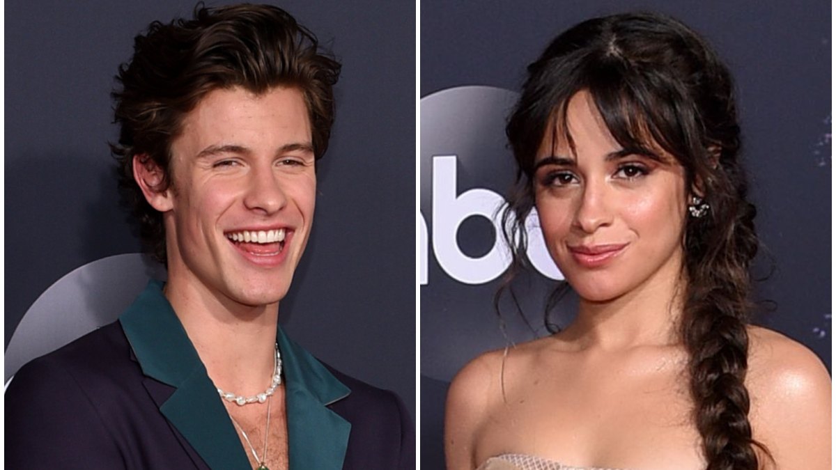 Shawn Mendes and Camila Cabello