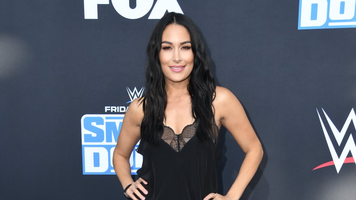 Brie Bella at the WWE 20th Anniversary Celebration