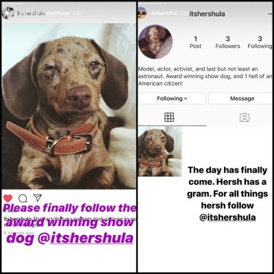 Hershula Instagram Shout Outs From Scott Disick and Sofia Richie