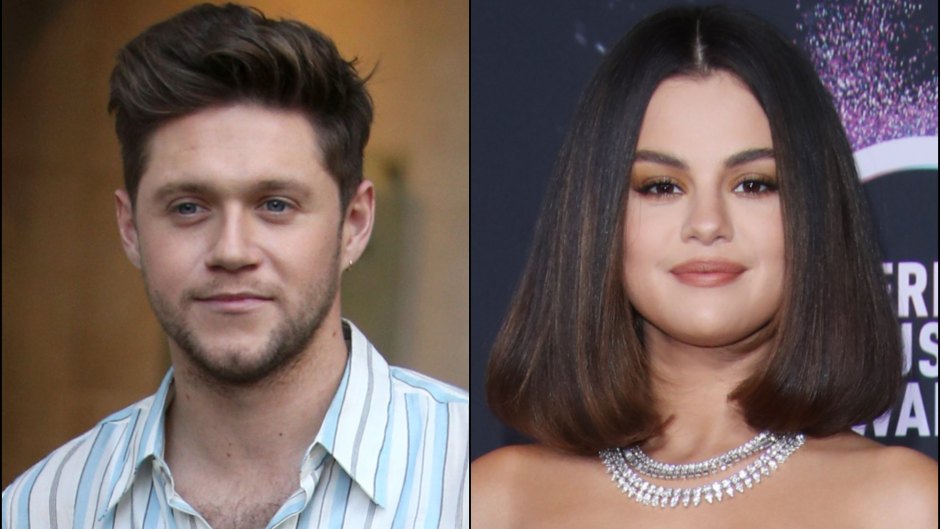 Selena Gomez sparks Niall Horan romance rumours after she's seen sneaking  into his mansion - Irish Mirror Online