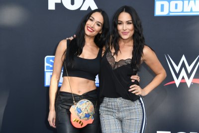 Nikki and Brie Bella Talk About Motherhood and Fertility