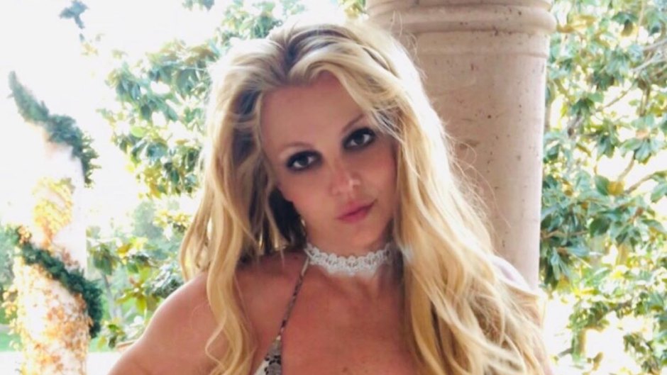 Britney Spears In Snakeskin Bikini