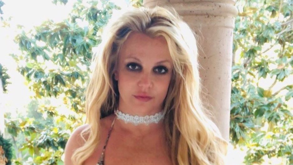 Britney Spears In Snakeskin Bikini