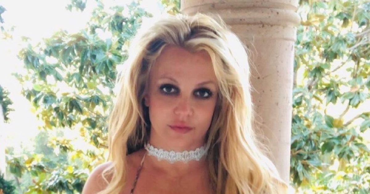 Britney Spears Shows Off Figure in Snakeskin Pattern Bikini