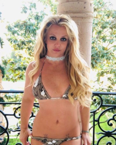 Britney Spears In Snakeskin Bikini