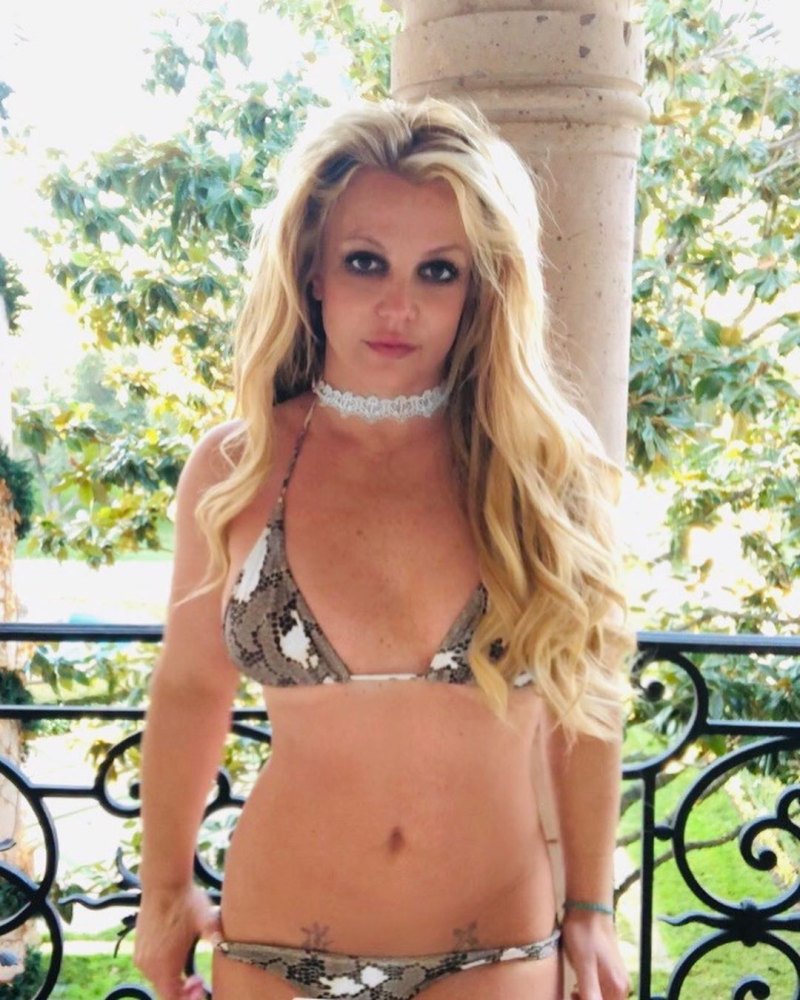 Britney Spears In Snakeskin Bikini
