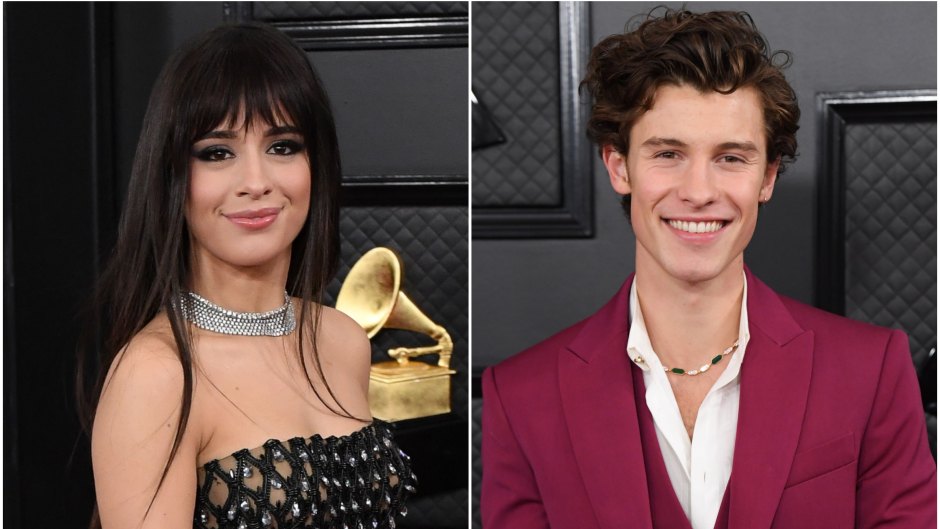 Camila Cabello and Shawn Mendes Walk Grammys Carpet Separate