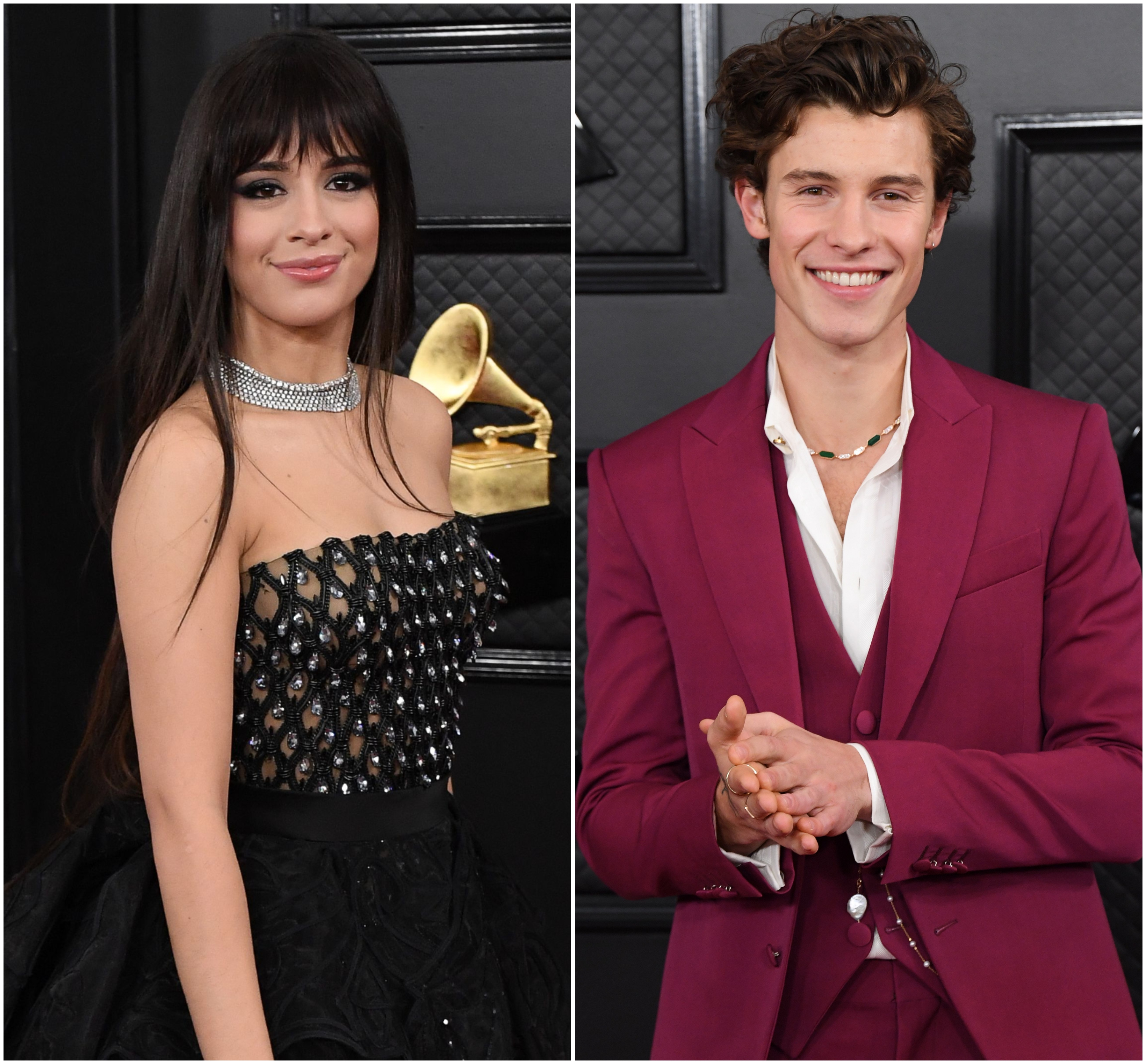Camila Cabello And Shawn Mendes Arrive At 2020 Grammys Separately