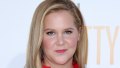 Celebs Send Amy Schumer Support Amid IVF Journey
