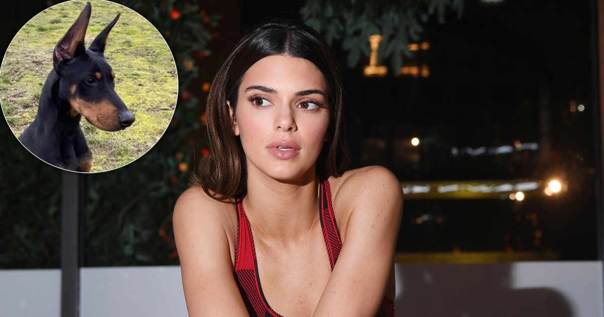 Kendall Jenner Reveals Name of Her Doberman Dog in Cute
