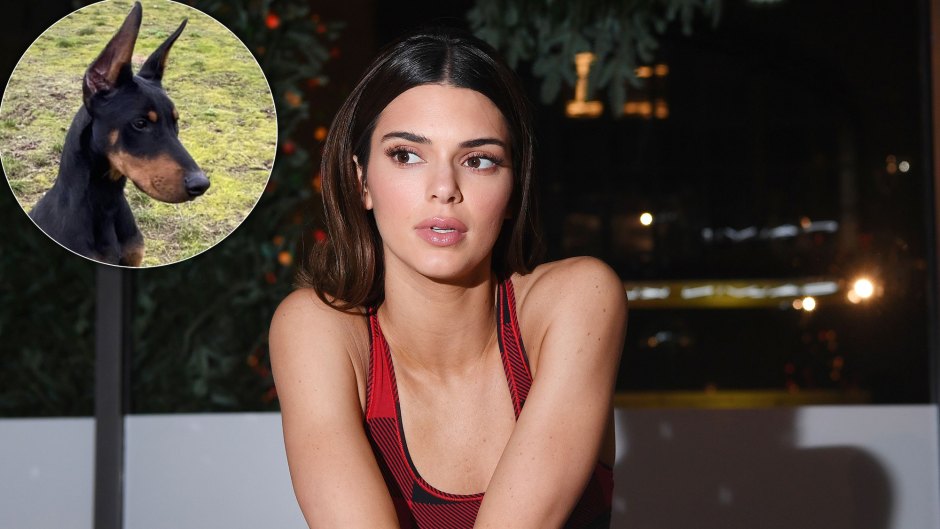 Kendall Jenner Shares Adorable Photo of Her Dog — and Finally Reveals Her Name