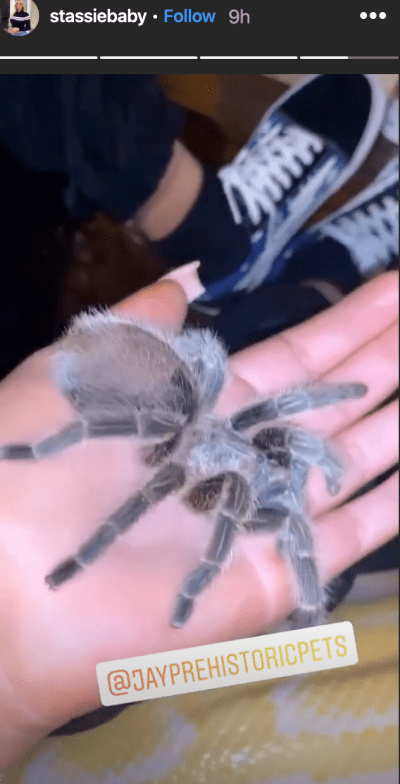 Stassie Karanikolaou and Tyler Cameron Reunite at Animal Party