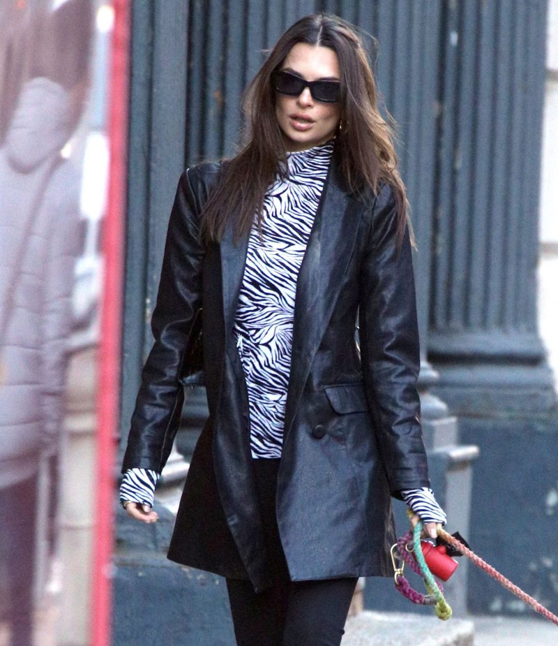 Emily Ratajkowski and Her Dog Go For a Walk in NYC