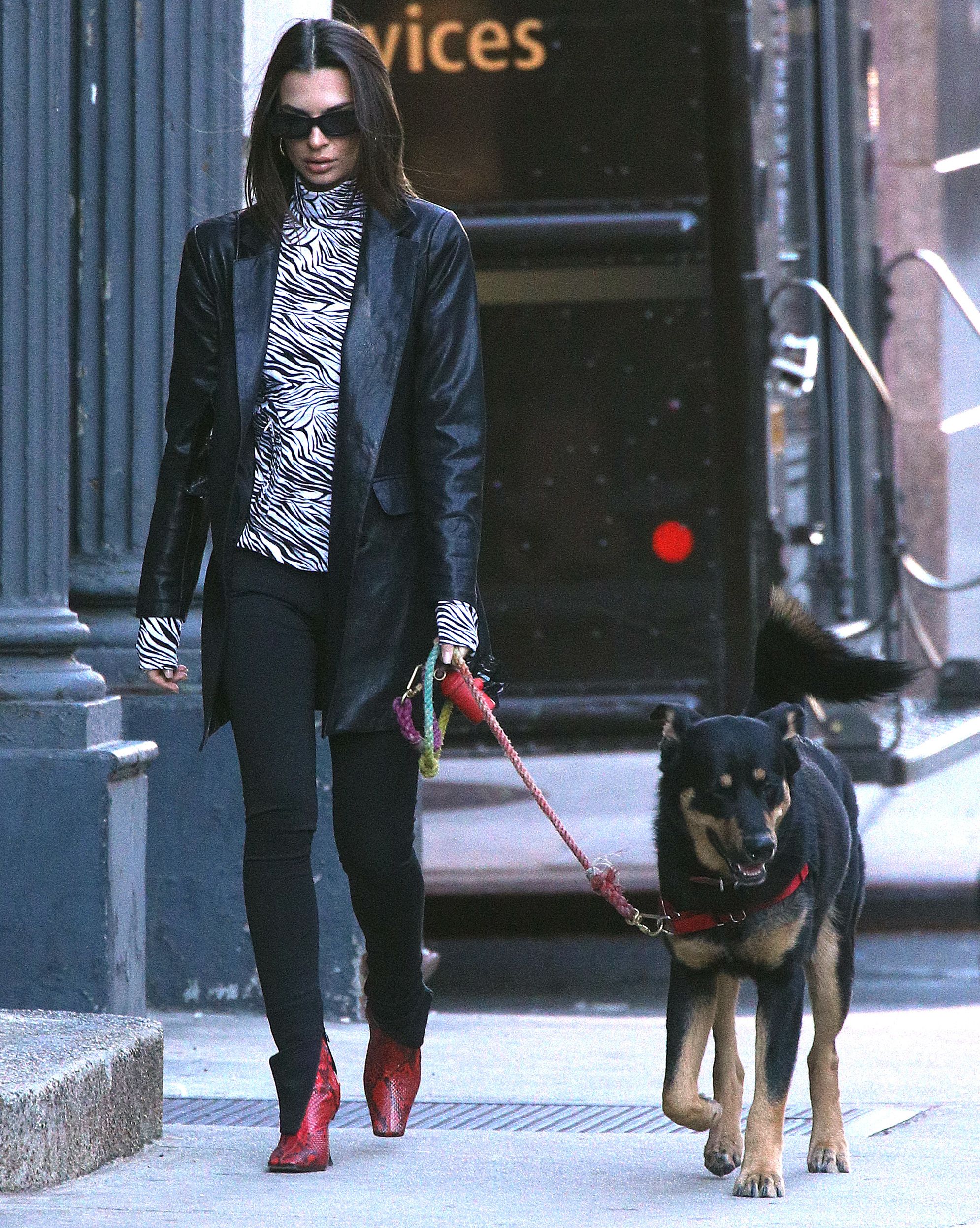 Emily Ratajkowski and Her Dog Go For a Walk in NYC