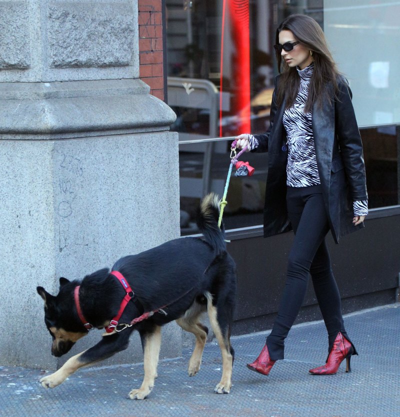 Emily Ratajkowski and Her Dog Go For a Walk in NYC