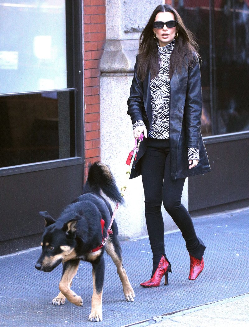 Emily Ratajkowski and Her Dog Go For a Walk in NYC