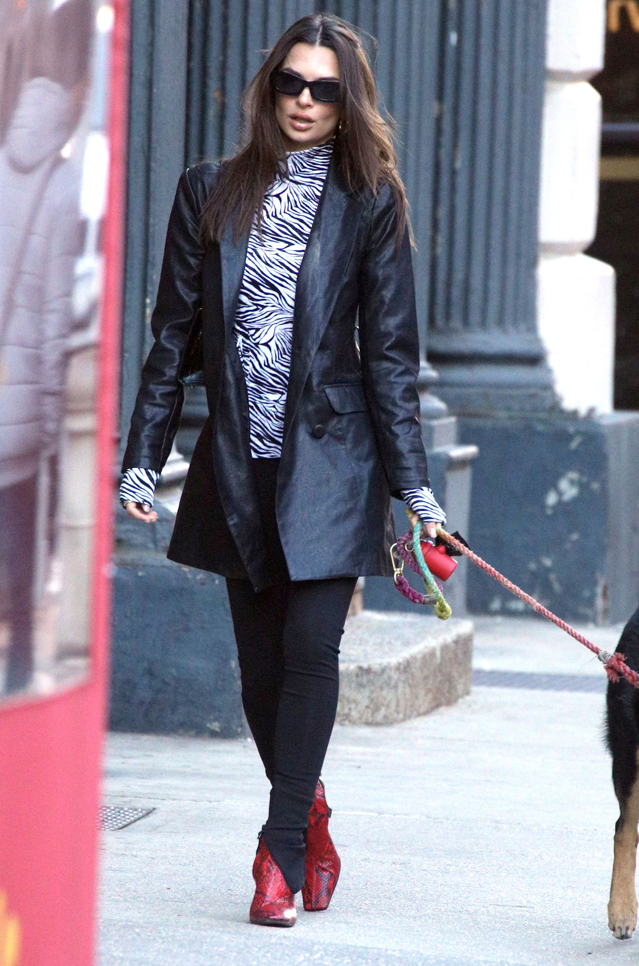 Emily Ratajkowski and Her Dog Go For a Walk in NYC