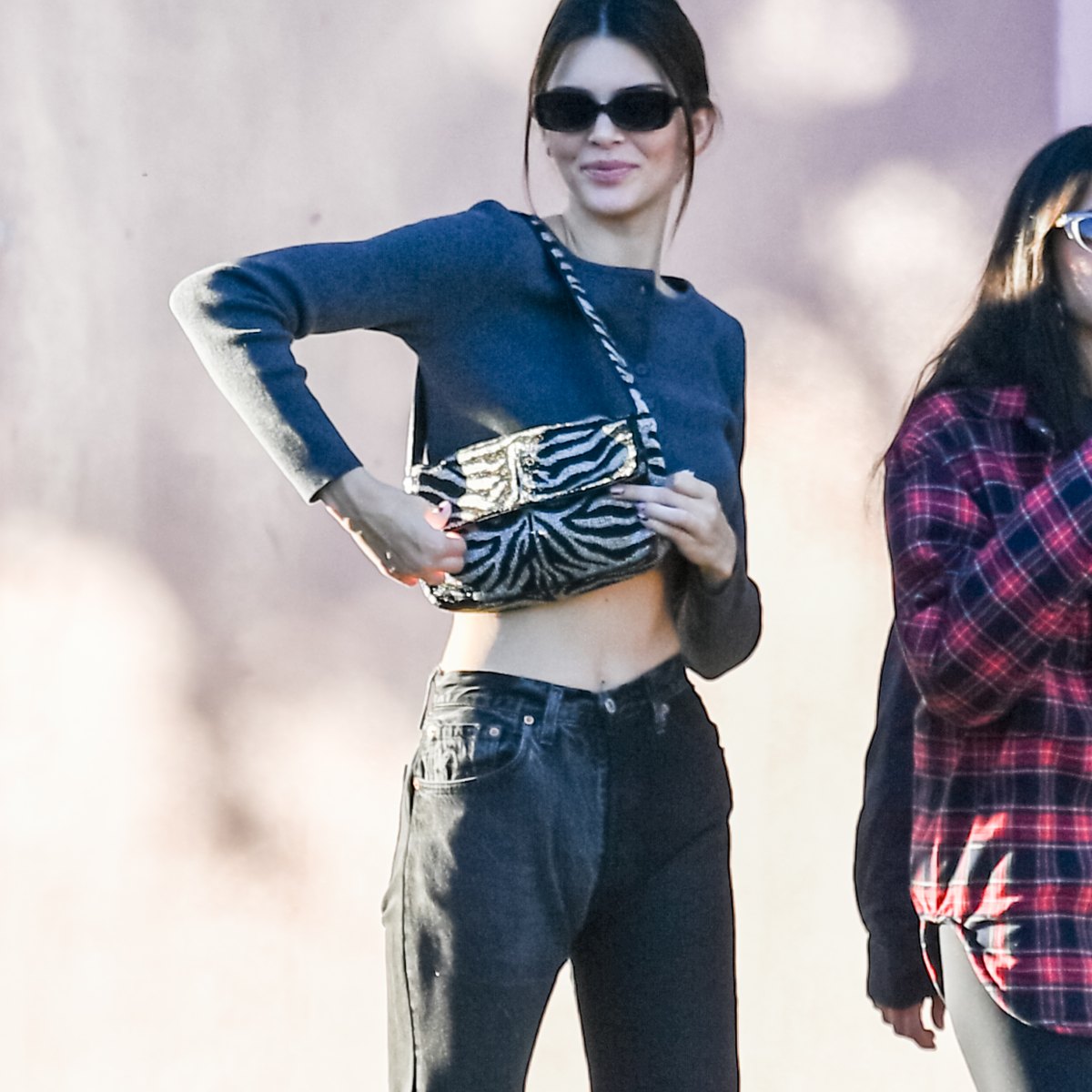 Kendall Jenner Flaunts Abs in High-Waisted Jeans & Crop Top: Photo 4049773, Kendall Jenner Photos