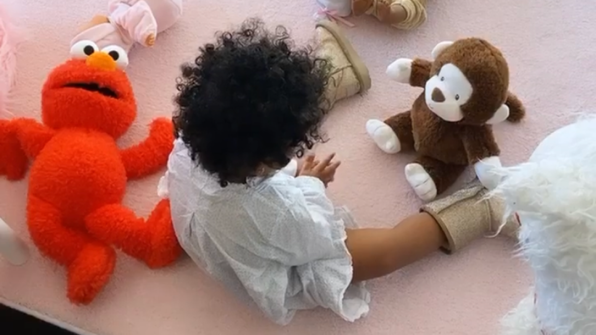 true-thompson-toy-monkey-ig