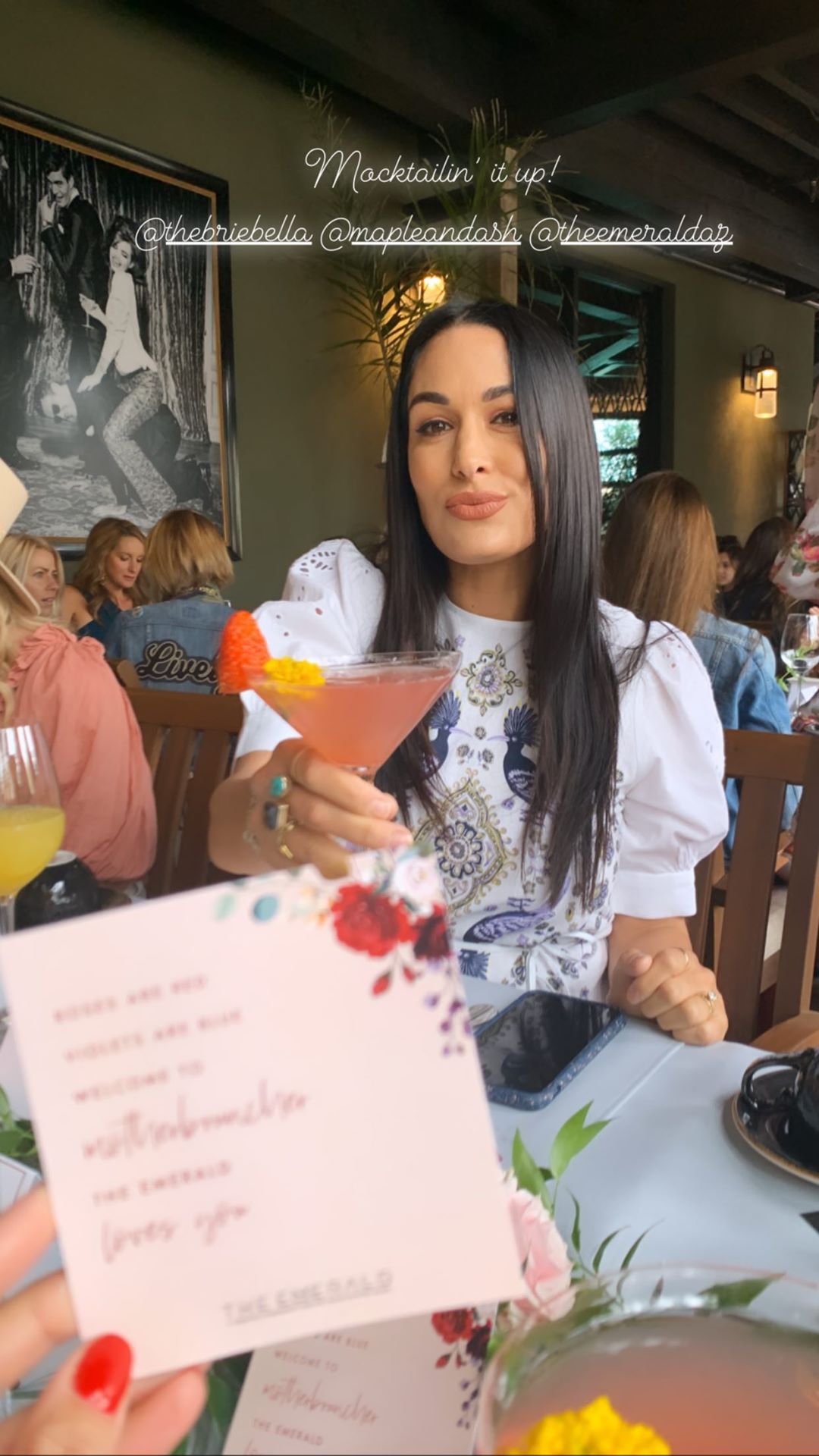 Brie Bella at Brunch