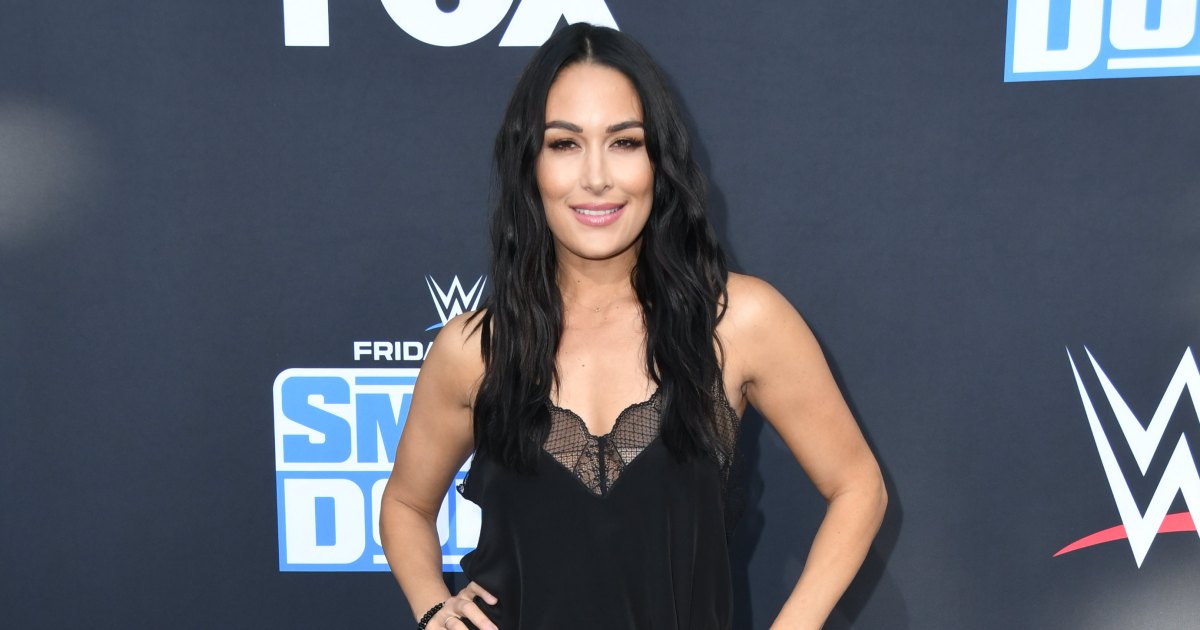 Brie bella sexy pictures