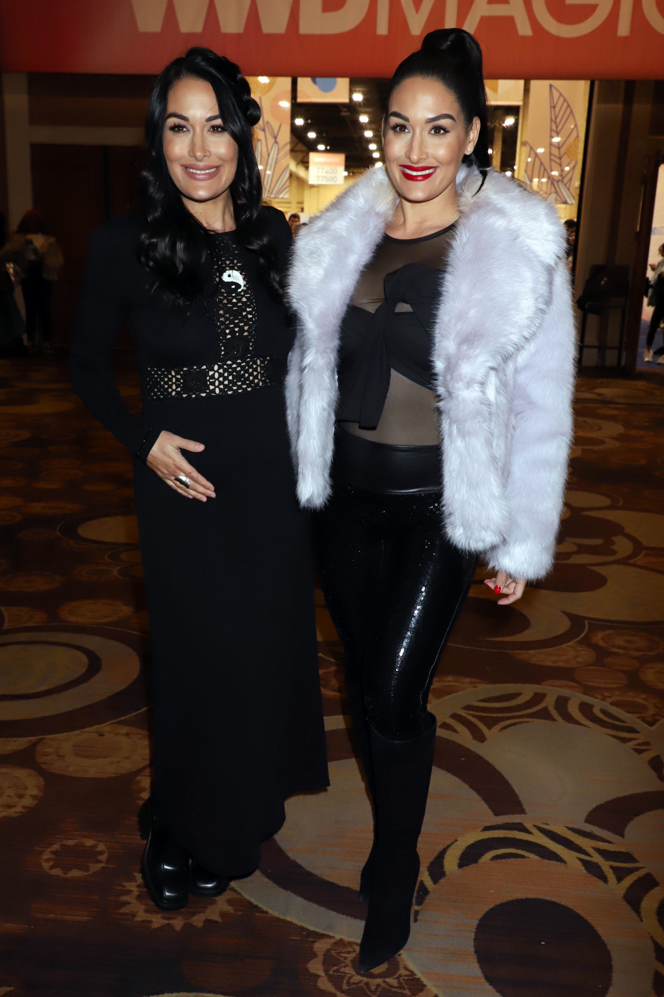 Brie and Nikki Bella