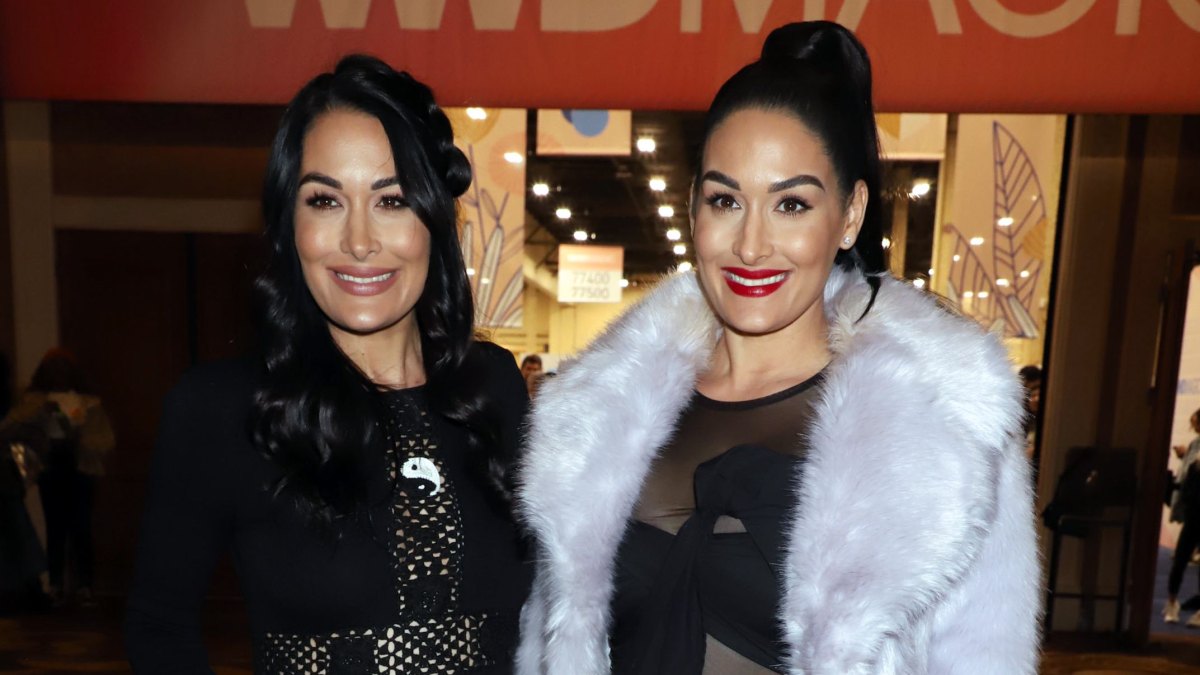 Brie and Nikki Bella