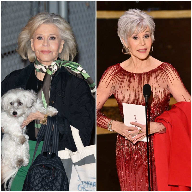 Celebrity Hair Transformations 2020, Jane Fonda