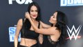 Nikki and Brie Bella