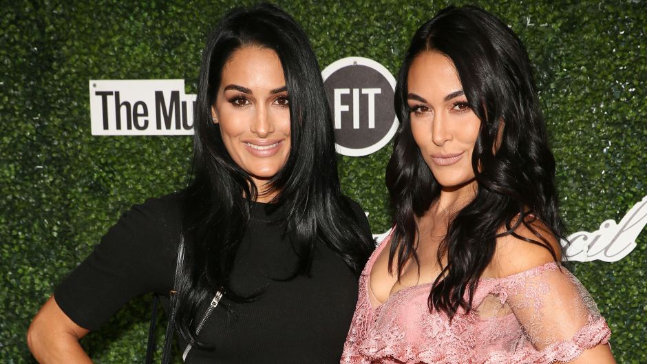 Nikki and Brie Bella at Couture Council Award Luncheon