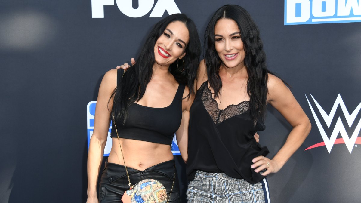 Nikki and Brie Bella