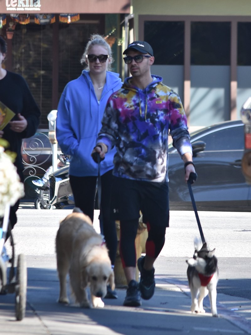 Joe Jonas and Sophie Turner Step Out With Their Pups Amid Pregnancy News