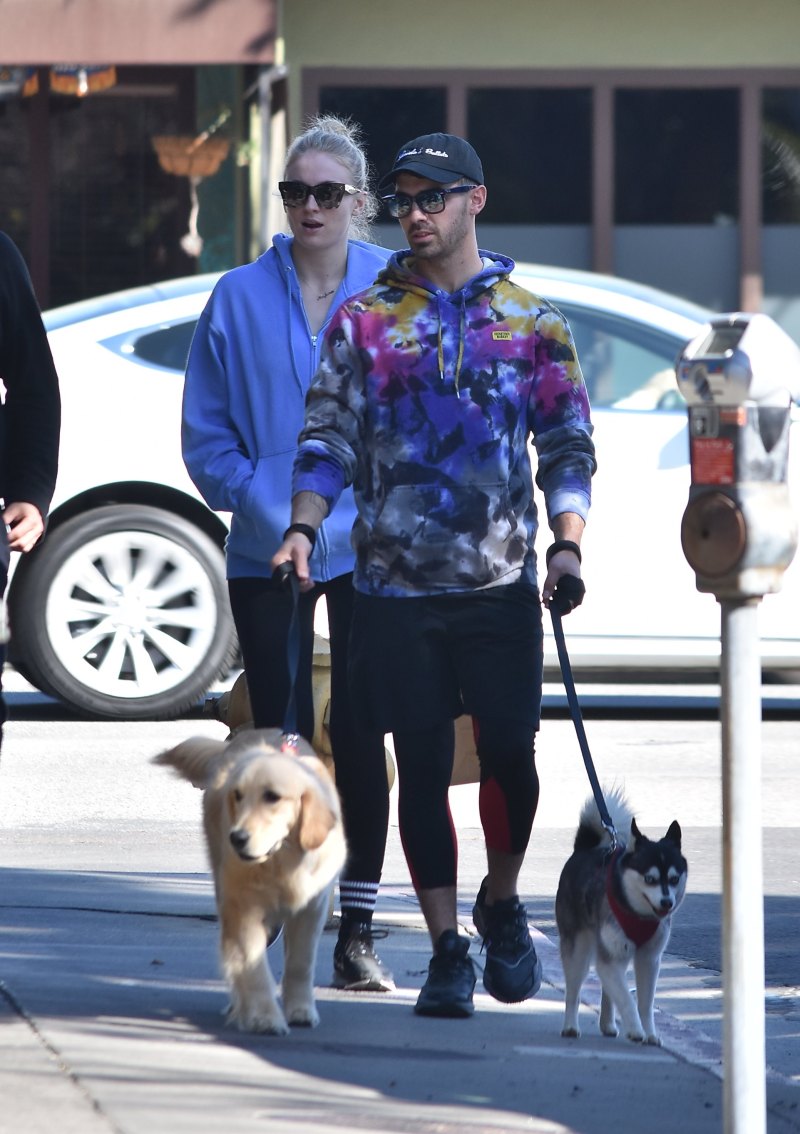 Joe Jonas and Sophie Turner Step Out With Their Pups Amid Pregnancy News